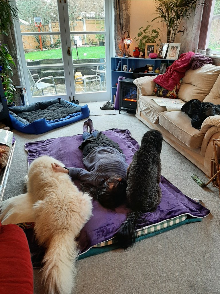 woman ready for shiatsu on floor flanked by 2 dogs