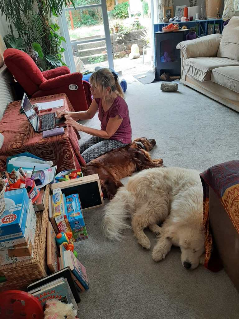 Su on computer with dogs on floor